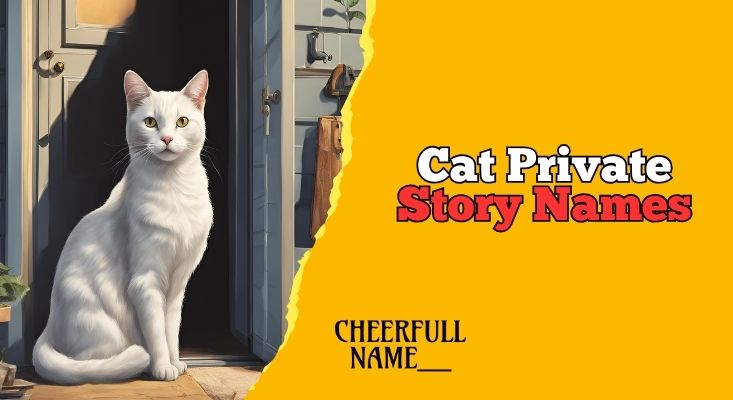 300+ Top Cat Private Story Names – By Cheerfull Name