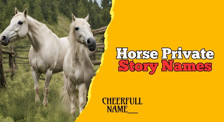 350+ Top Horse Private Story Names [Fun, Stylish ]