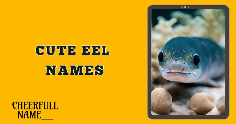 Cute Eel Names