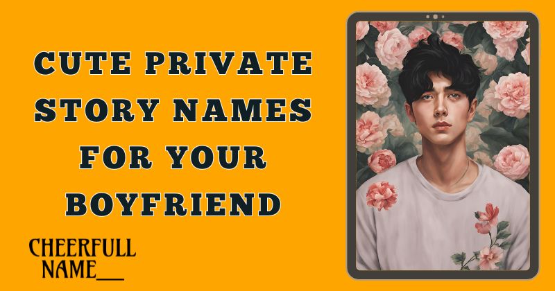 Cute Private Story Names For Your Boyfriend