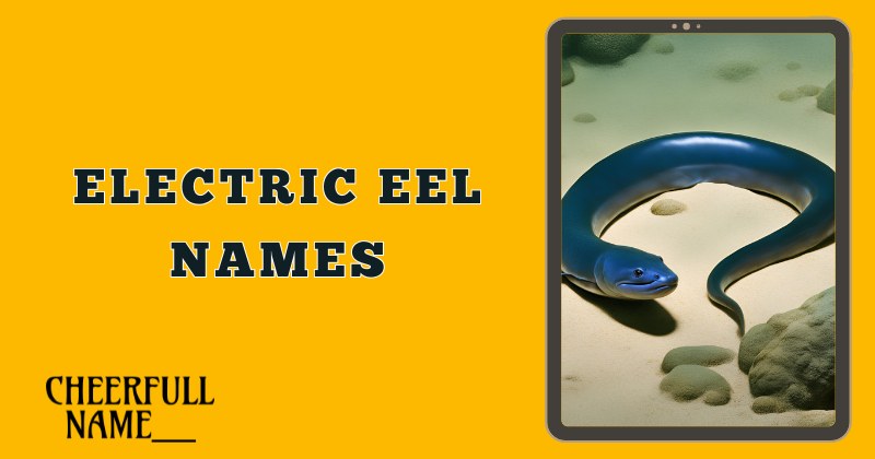 Electric Eel Names