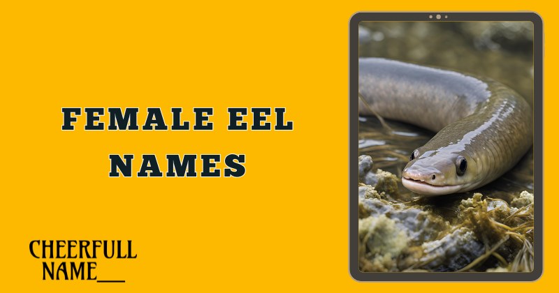 Female Eel Names