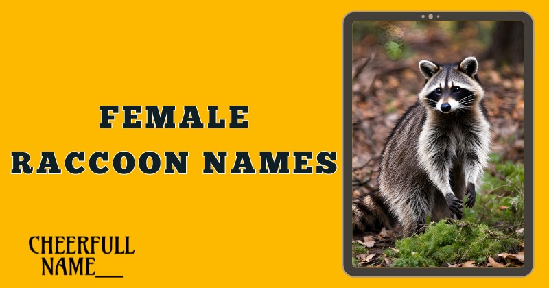 Female Raccoon Names