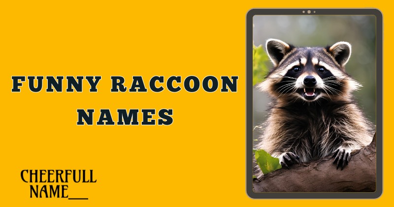 Funny Raccoon Names