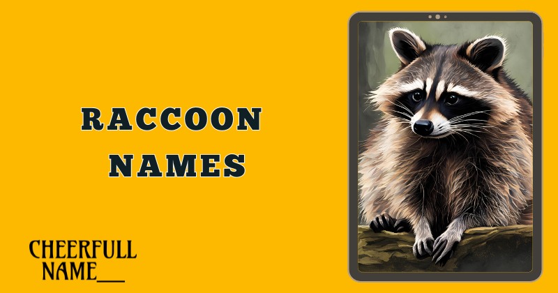 Raccoon Names