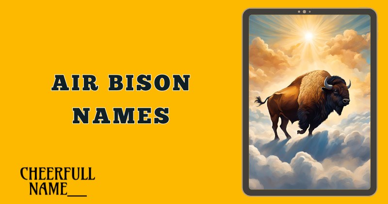 Air Bison Names