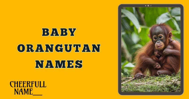 Baby Orangutan Names