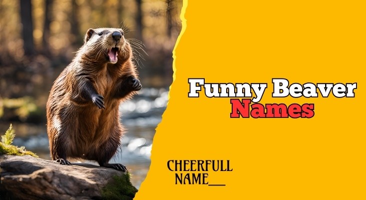 Beaver Buddies: [50+ Clever Names] for Friendship