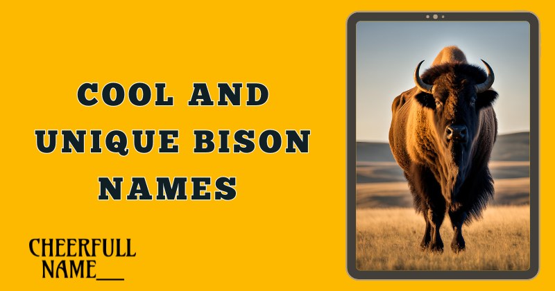 Cool And Unique Bison Names 