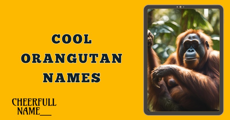 Cool Orangutan Names