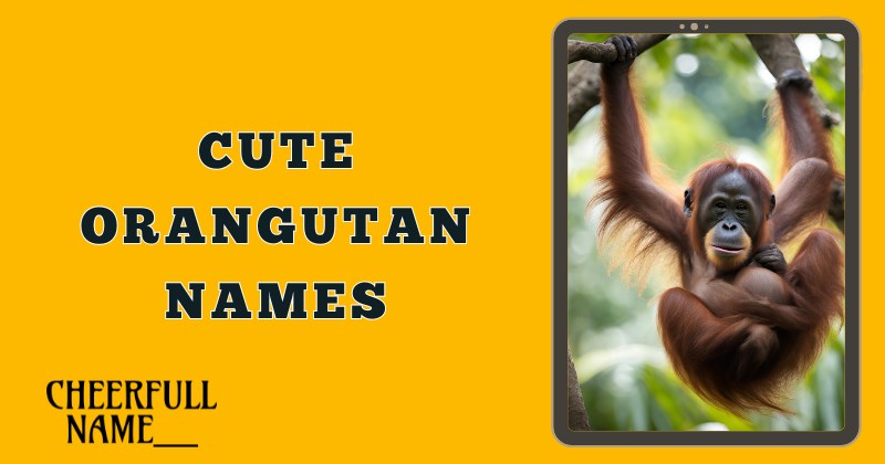 Cute Orangutan Names