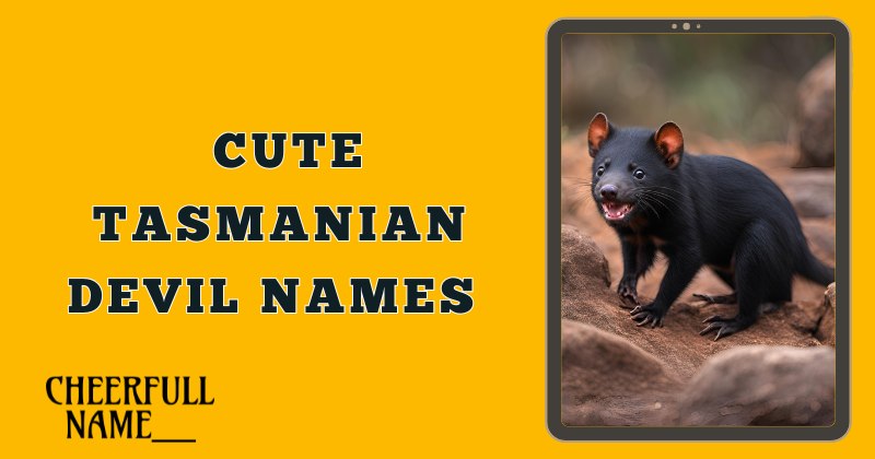 Cute Tasmanian Devil Names 