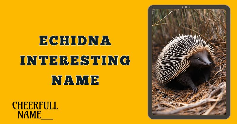 Echidna Interesting Name