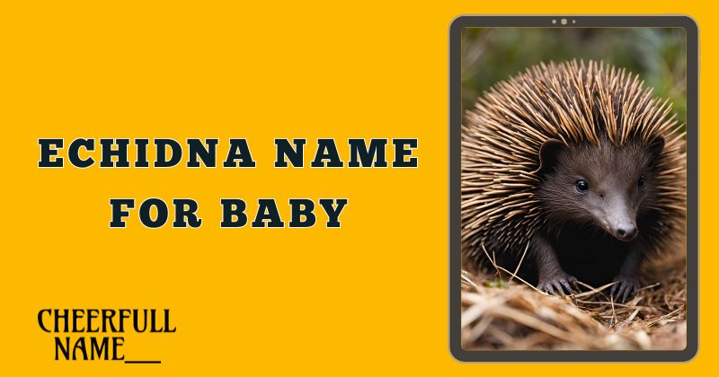 Echidna Name For Baby