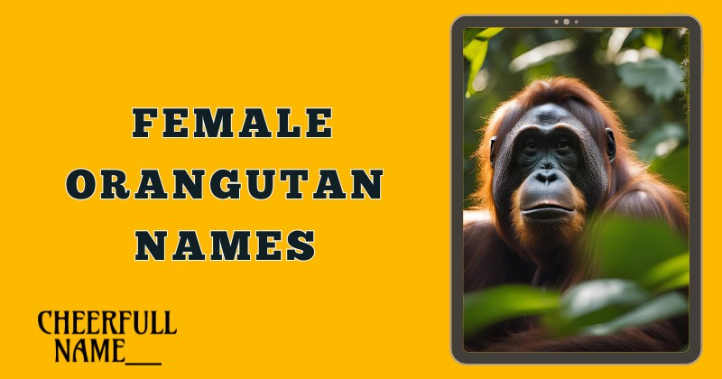 Female Orangutan Names