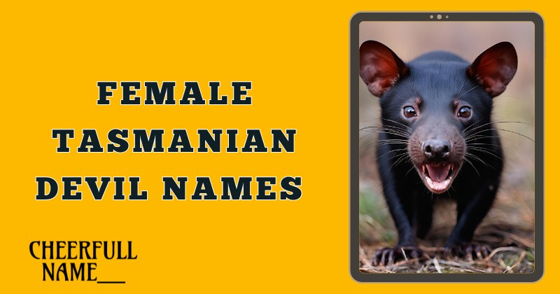 Female Tasmanian Devil Names 