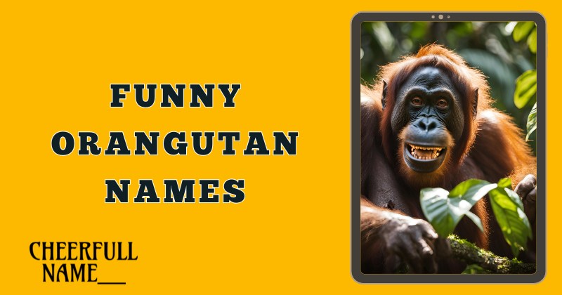 Funny Orangutan Names