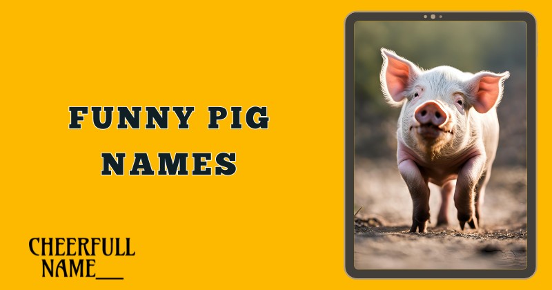 Funny Pig Names