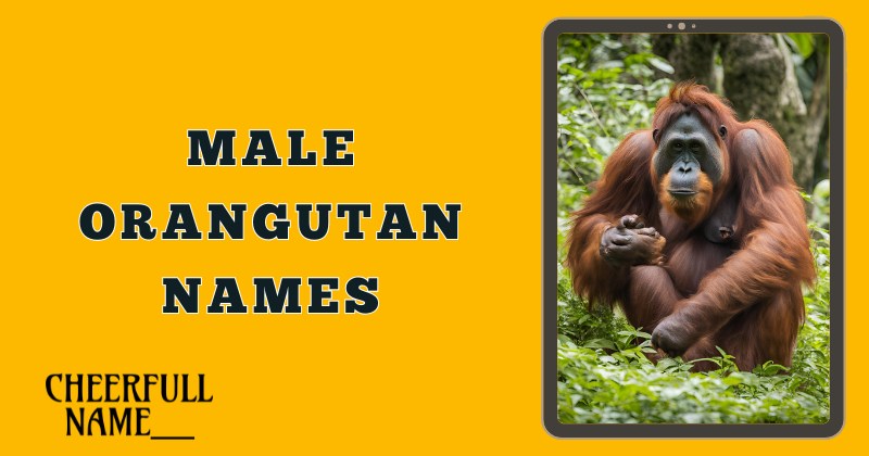 Male Orangutan Names