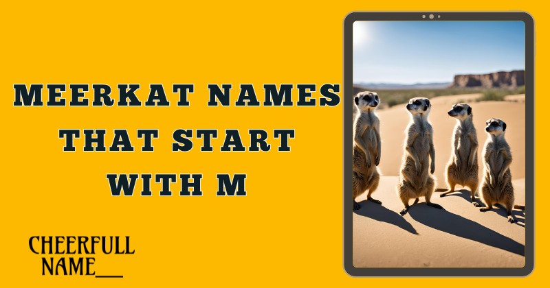 Meerkat Names That Start With M