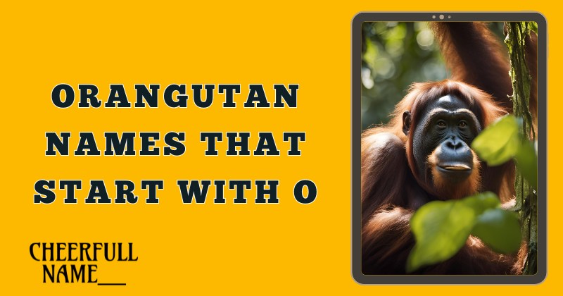 Orangutan Names That Start With O