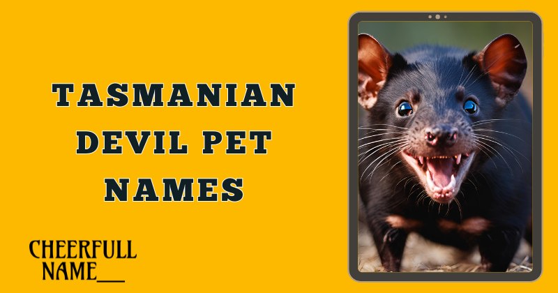 Tasmanian Devil Pet Names