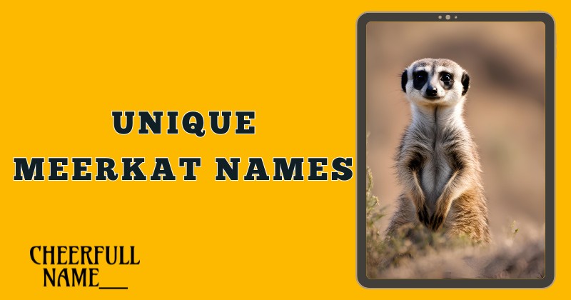 Unique Meerkat Names 