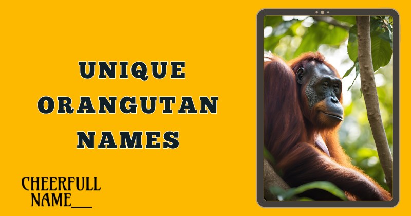 Unique Orangutan Names