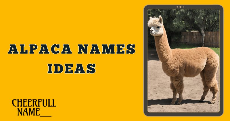 Alpaca Names Ideas