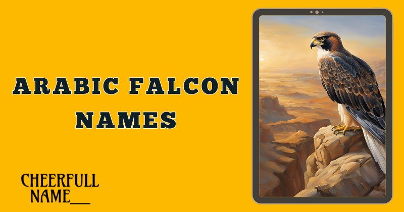 Arabic Falcon Names