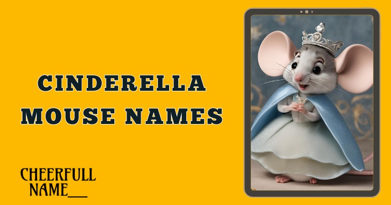 Cinderella Mouse Names