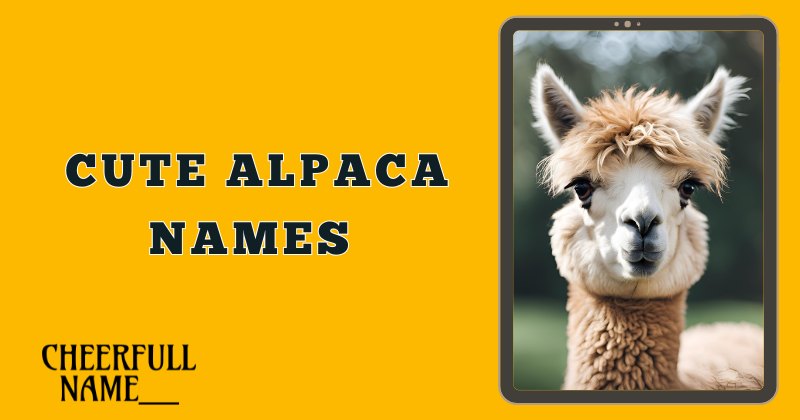 Cute Alpaca Names