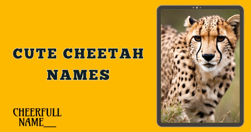 Cute Cheetah Names