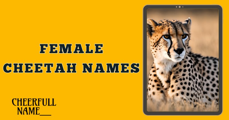 Female Cheetah Names