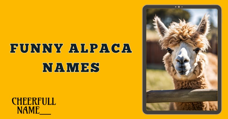 Funny Alpaca Names