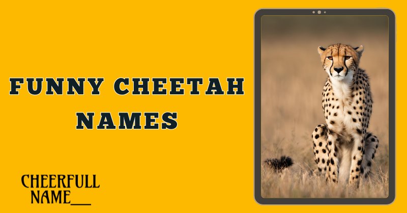 Funny Cheetah Names