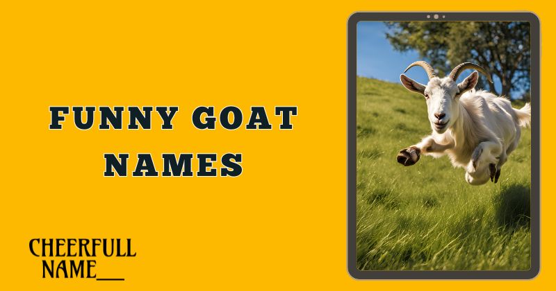 Funny Goat Names