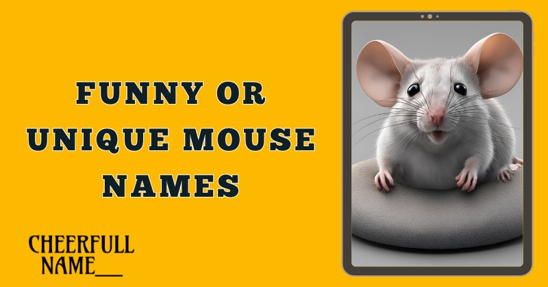 Funny Or Unique Mouse Names