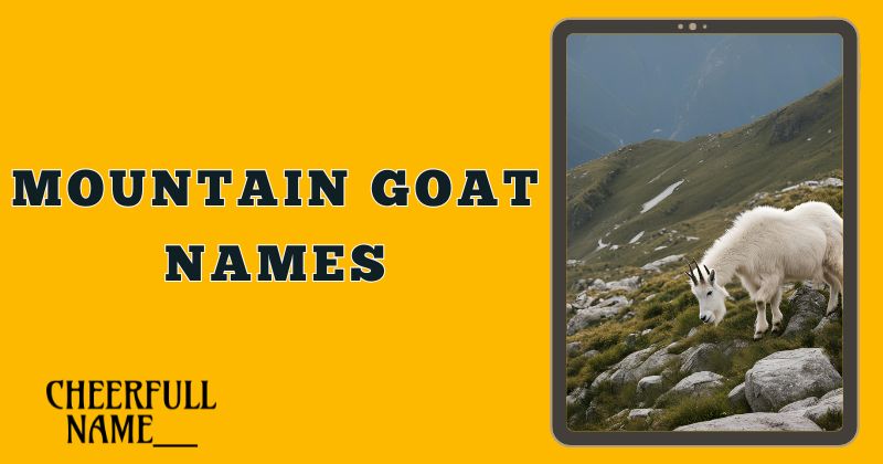 Mountain Goat Names