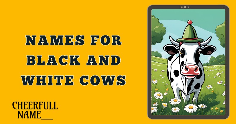 Names For Black and White Cows