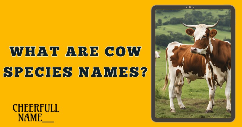 What Are Cow Species Names?