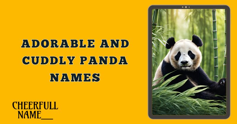 Adorable and Cuddly Panda Names