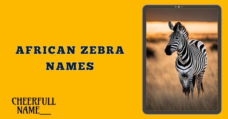 African Zebra Names