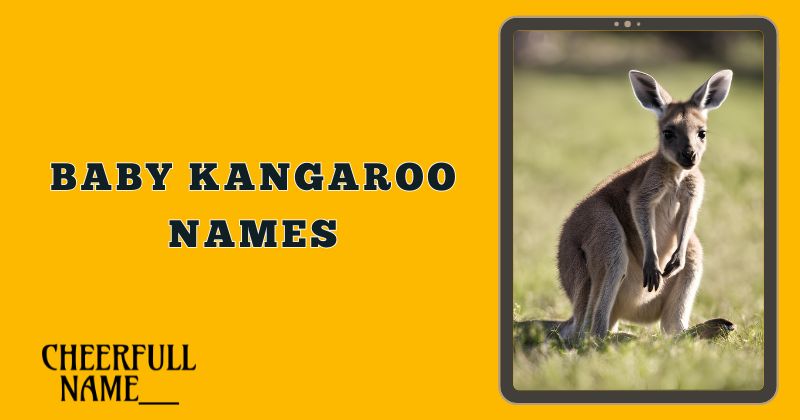 Baby Kangaroo Names