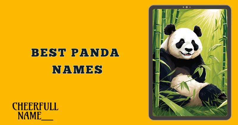 Best Panda Names