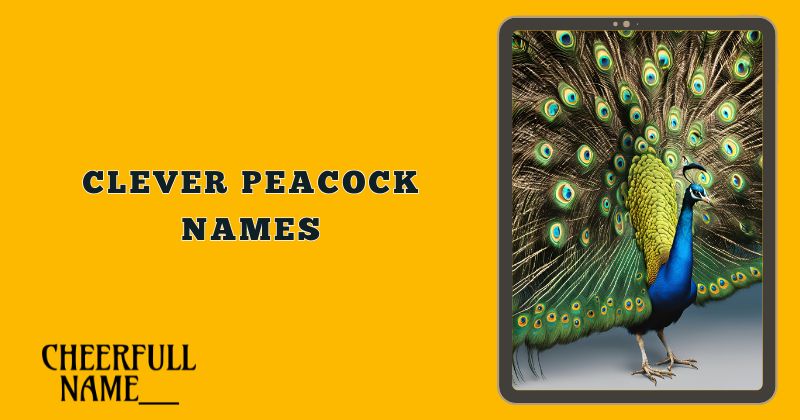 Clever Peacock Names