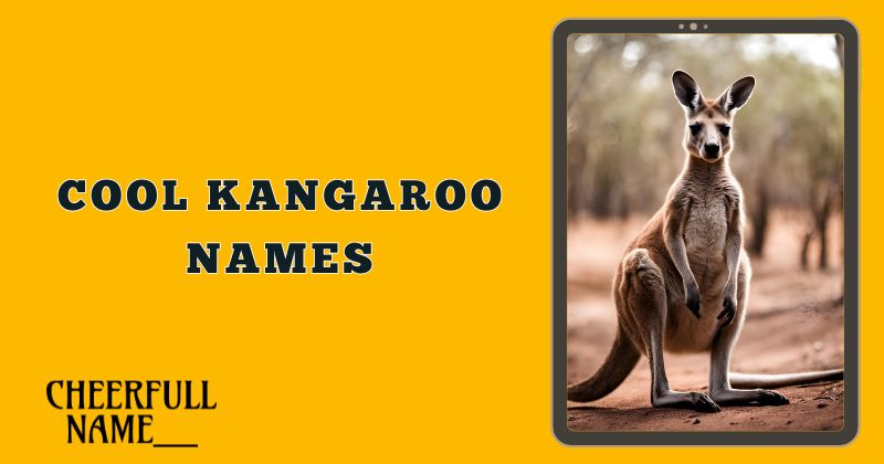 Cool Kangaroo Names