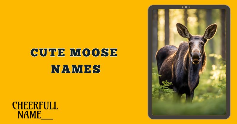 Cute Moose Names