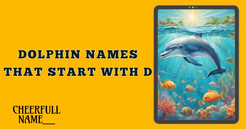 Dolphin Names That Start With D