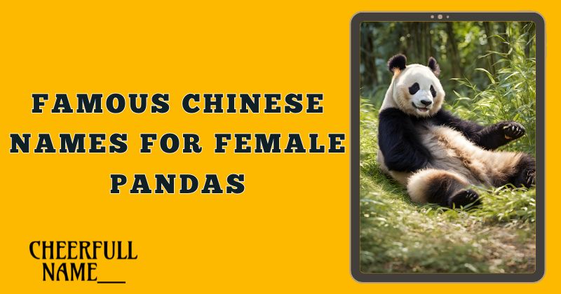 Famous Chinese Names For Female Pandas